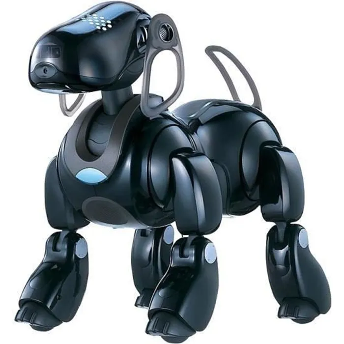 #31/ Chien d&rsquo;écrivain par Ian Soliane