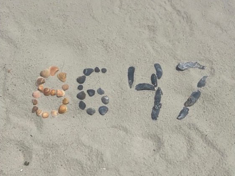 #94/ Cool Shell Formation, par DeYi Studio