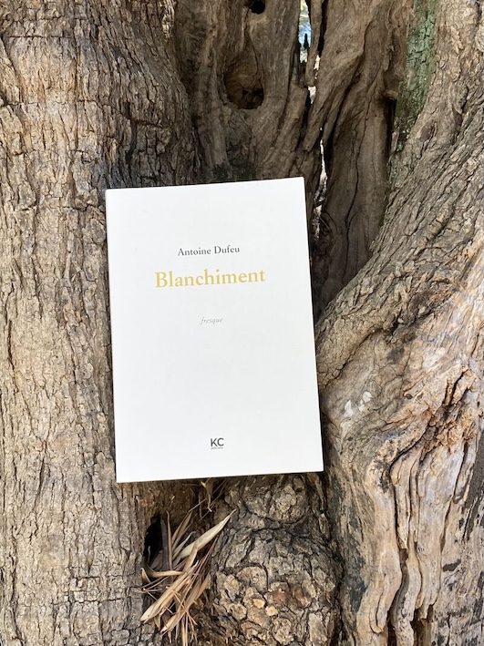 #164/ Blanchiment d’Antoine Dufeu, par Éric Arlix