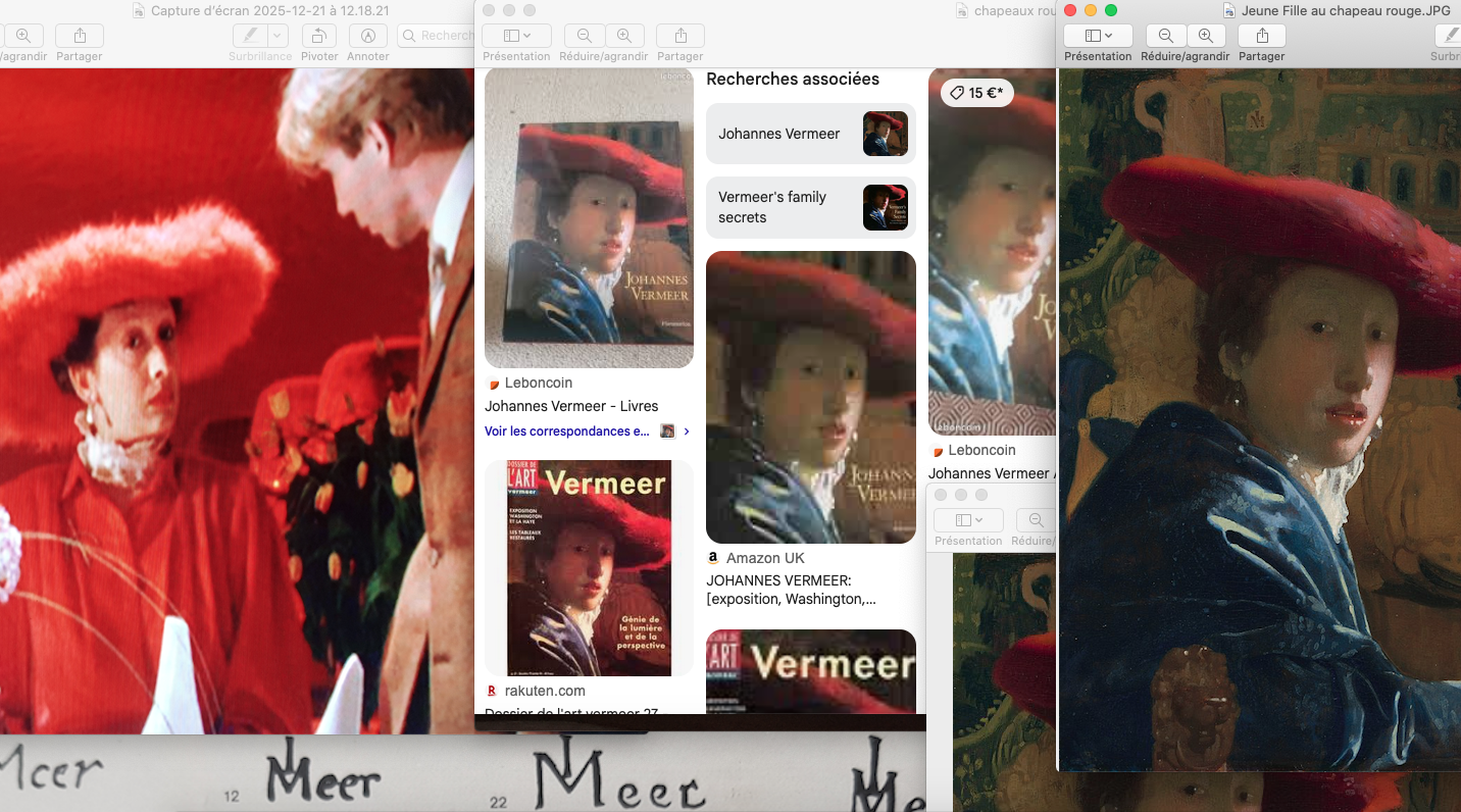 #205/ Tout autour de Vermeer (19), par Christine Lapostolle
